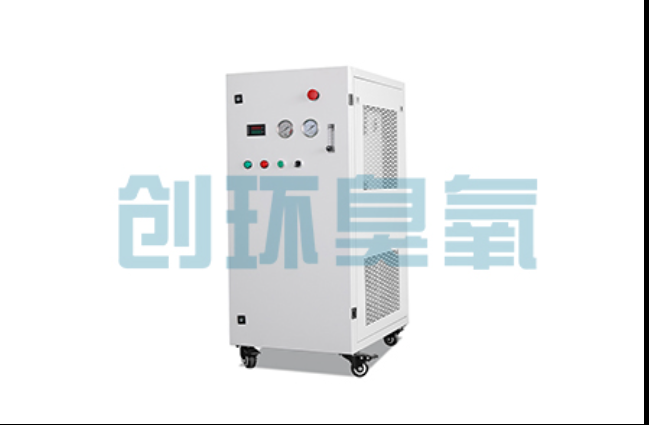 清远工厂化养鲈必看:2026年臭氧发生器替代传统消毒的最新方案