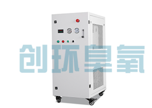 清远石斑鱼养殖水质调控完整指南:臭氧发生器配置与操作步骤