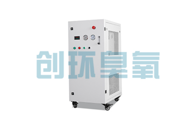 清远比传统换水更高效?臭氧发生器在石斑鱼养殖中的水质净化原理解析